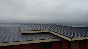 Best Flat Roofing  in Schofield Barracks, HI